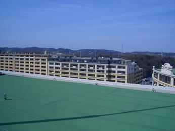 ォ̕iipTj
